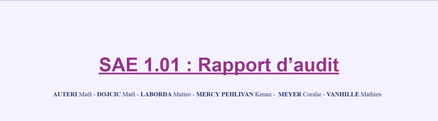 Rapport d’Audit de communication